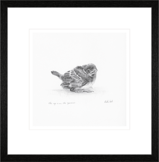 Main image Baby Sparrow