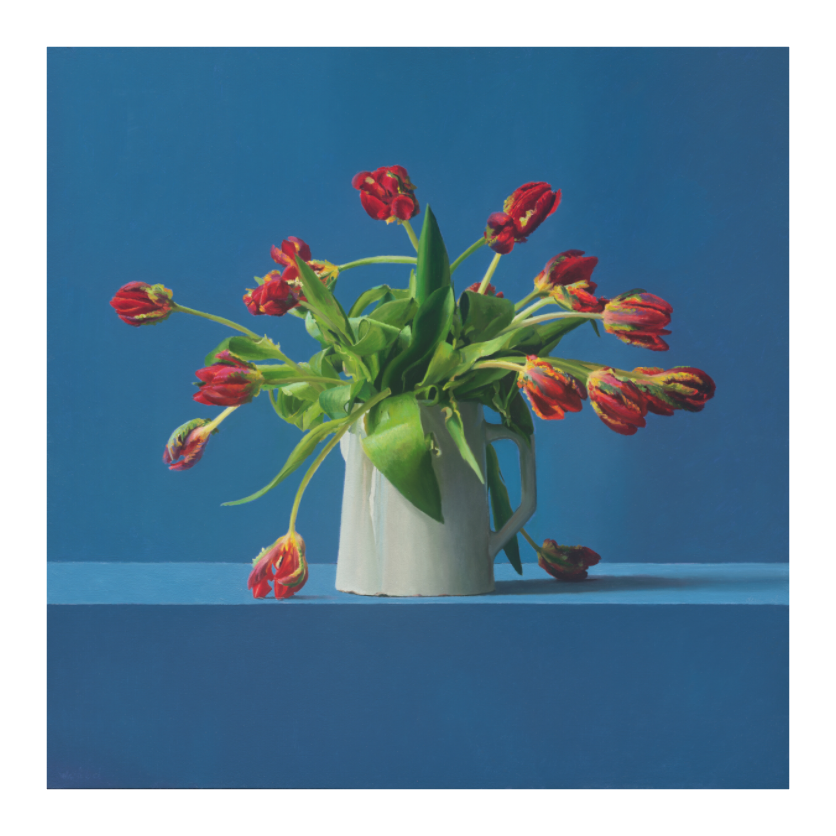 Main image Parrot Tulips