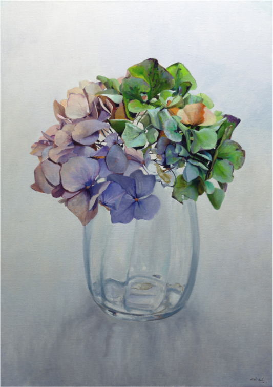 Main image Hortensia