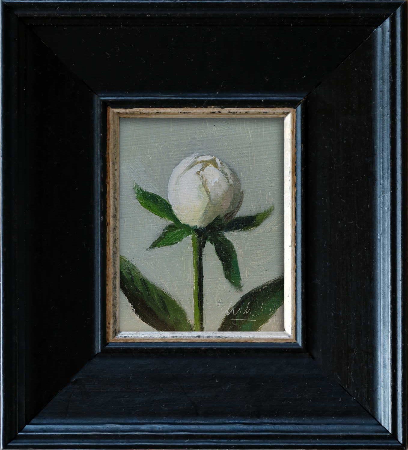 Peony