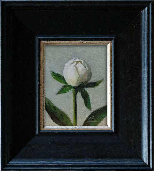 Peony