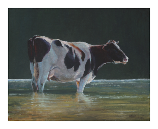 Main image Cow in river