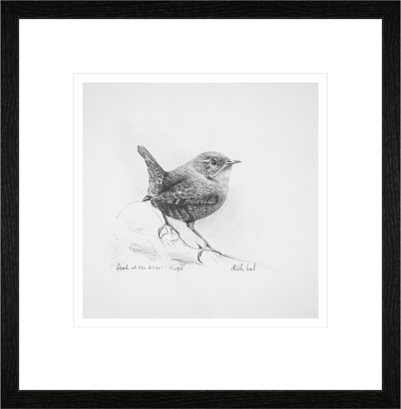 Main image Wren