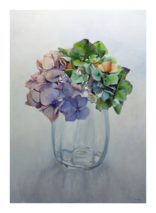 Main image Hortensia
