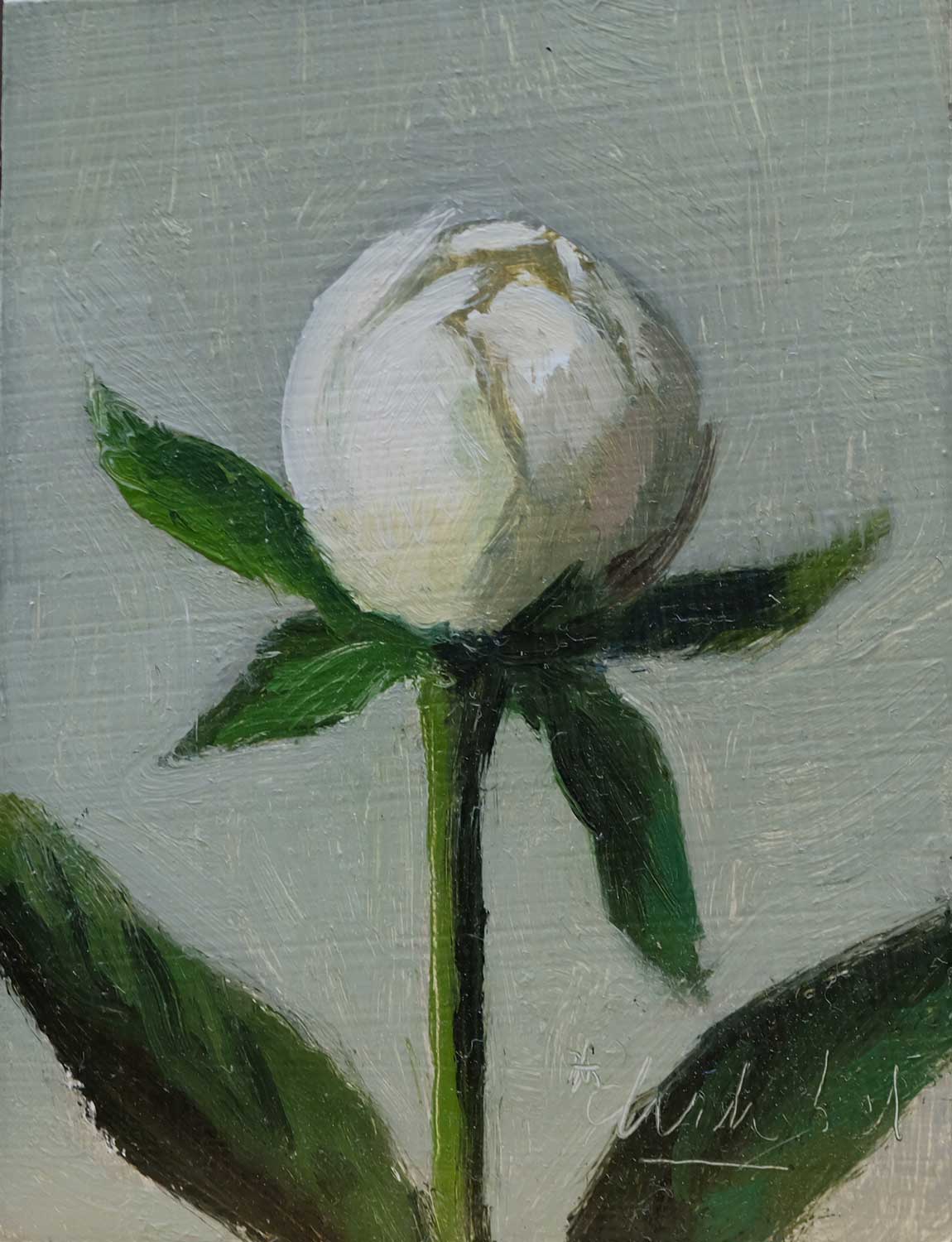 Peony